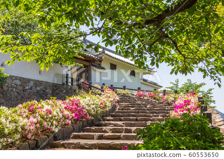 京都府福知山市福知山城空手道門前的石階 京都府福知山市福知山城空手道門前的石階 60553650