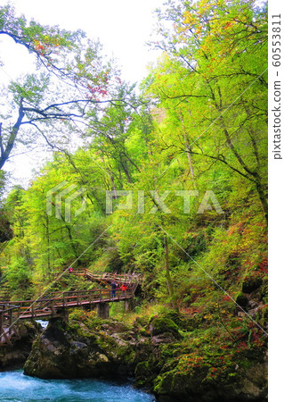 Slovenia Vincentar Valley 60553811