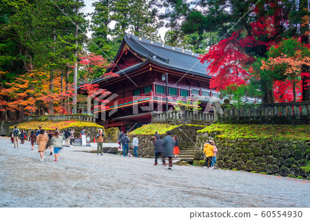 Tochigi, Nikko Sanrōji, Daigomado's autumn leaves 60554930