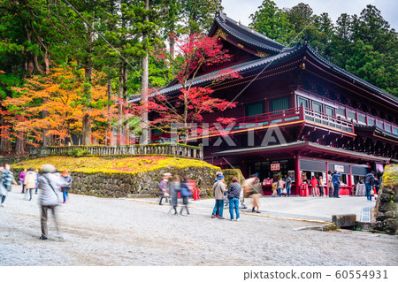 Tochigi, Nikko Sanrōji, Daigomado's autumn leaves 60554931