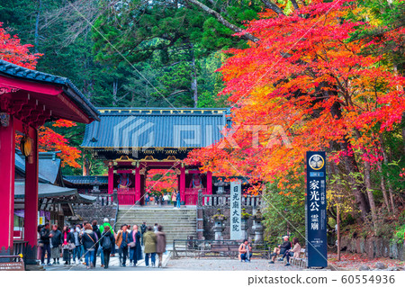 chi木日光三郎寺大淵和秋葉 60554936