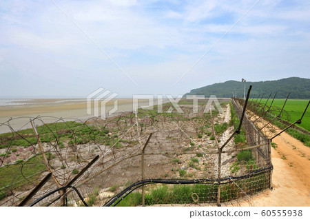 Military barbed wire 60555938