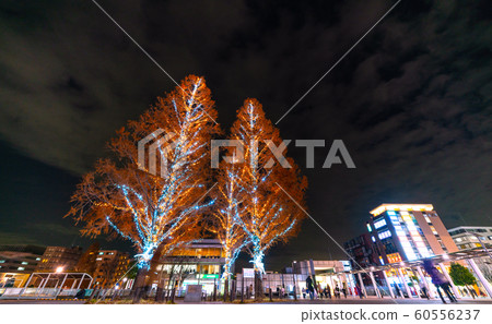 橫濱城市景觀,地鐵,中央南站等的視圖(夜景) 橫濱城市景觀,地鐵,中央南站等的視圖(夜景) 60556237