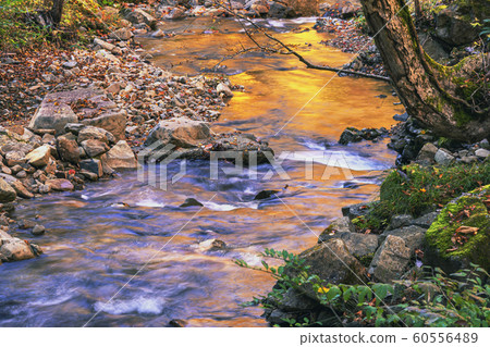 191028泥濘的秋葉G169 60556489