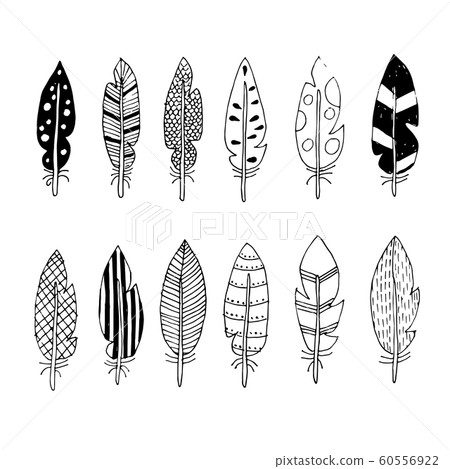 vector feathers with abstract drawings vector feathers with abstract drawings 60556922