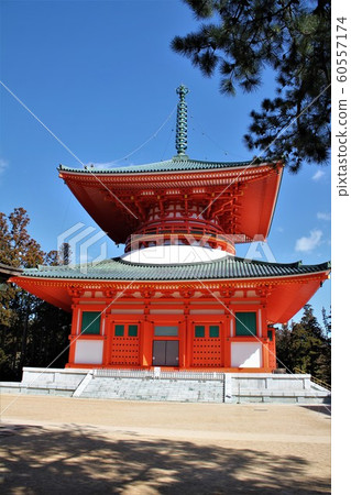 金剛寺和根本塔 金剛寺和根本塔 60557174