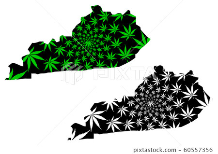 Commonwealth of Kentucky - map is designed 60557356
