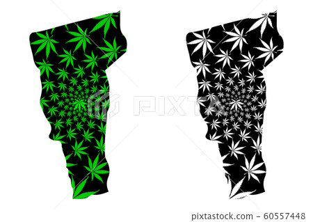 Vermont - map is designed cannabis leaf 60557448