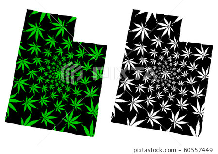 Utah - map is designed cannabis leaf 60557449