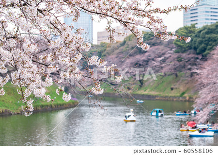 Visitors enjoying the scenario surrounded by 60558106