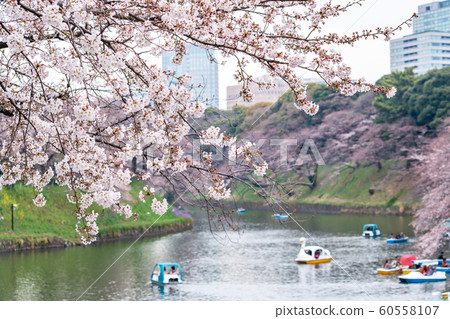 Visitors enjoying the scenario surrounded by 60558107