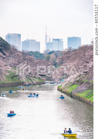 Visitors enjoying the scenario surrounded by 60558117