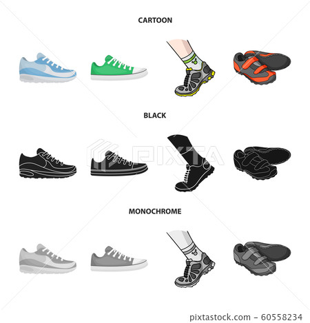Vector illustration of shoe and sport sign. Collection of shoe and fitness stock vector illustration. 60558234