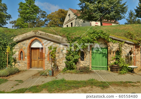 Stony wine cellars in Vrbice village in Czech republic Stony wine cellars in Vrbice village in Czech republic 60558480