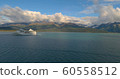 Cruise ships in Alaska  60558512