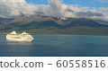 Cruise ships in Alaska  60558516