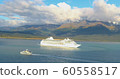 Cruise ships in Alaska  60558517