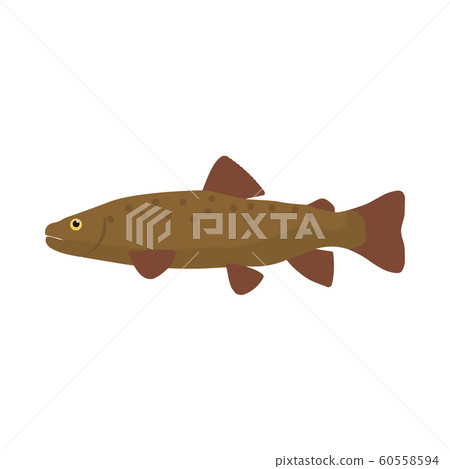Trout fish side view vector icon illustration. 60558594