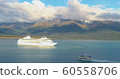 Summer cruise ship in Alaska  60558706