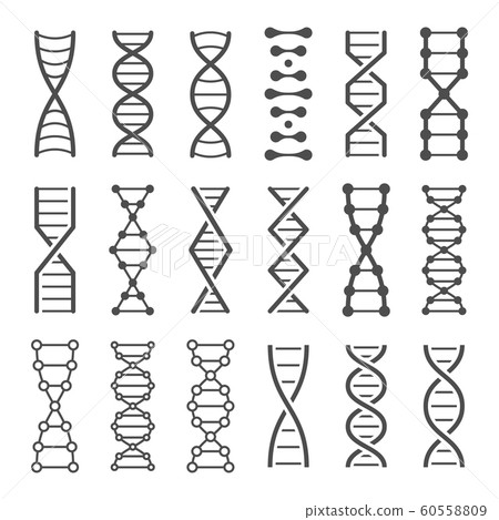 DNA spiral icon. Human genetics code, genom model and bio laboratory string spirals vector icons set 60558809