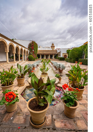 Courtyard garden of Viana Palace in Cordoba, 60558885