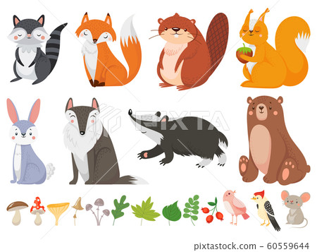 Funny wood animals. Wild forest animal, happy woodland fox and cute squirrel vector cartoon illustration set Funny wood animals. Wild forest animal, happy woodland fox and cute squirrel vector cartoon illustration set 60559644