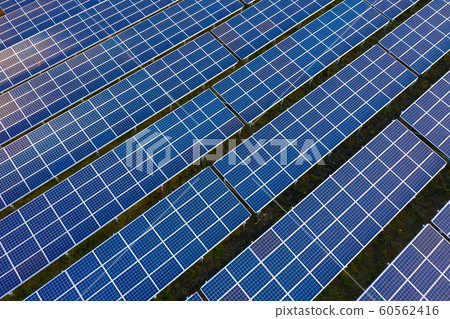 Aerial view of solar panels farm, alternative energy 60562416