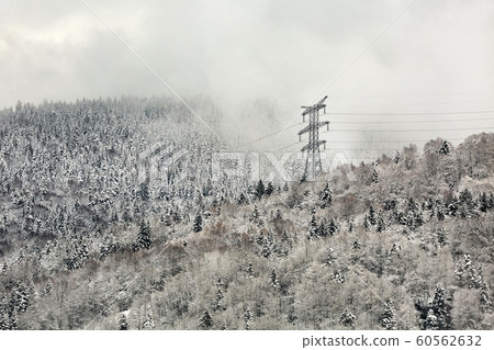 Electric power lines in snow Electric power lines in snow 60562632