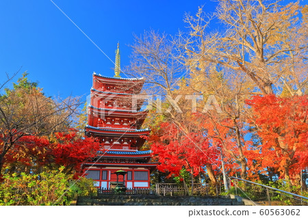 [Chiba Prefecture] Mainland temple in autumn colors 60563062