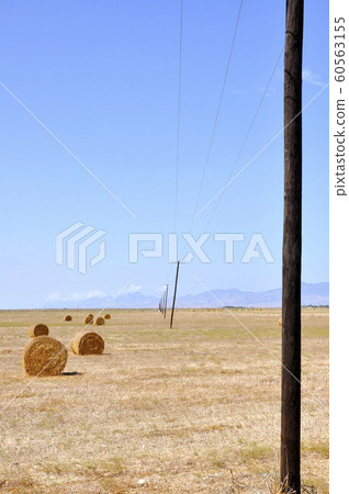 Hay bales on the field after harvest, in the middle of Cyprus 60563155