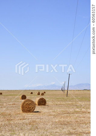 Hay bales on the field after harvest, in the middle of Cyprus Hay bales on the field after harvest, in the middle of Cyprus 60563157