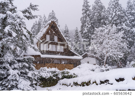 Gokayama Aikura在冬天定居 Gokayama Aikura在冬天定居 60563642