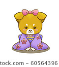 Kimono Shiba Inu 60564396