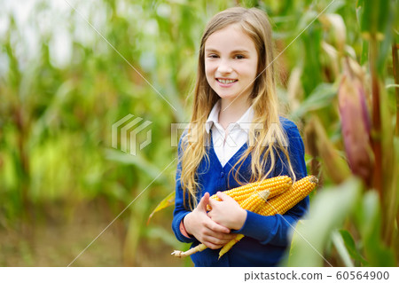 Adorable girl playing in a corn field on beautiful 60564900