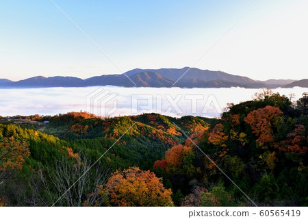 Sea of clouds in the Kameoka basin 60565419
