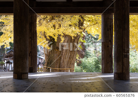 Shingu Kumano Shrine Shingu Kumano Shrine 60565876