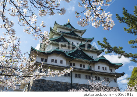 Nagoya Castle with Cherry Blossom Trees, Japan Nagoya Castle with Cherry Blossom Trees, Japan 60565912