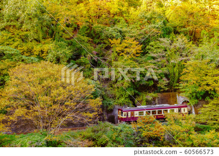 Watasage峽谷鐵路 Watasage峽谷鐵路 60566573