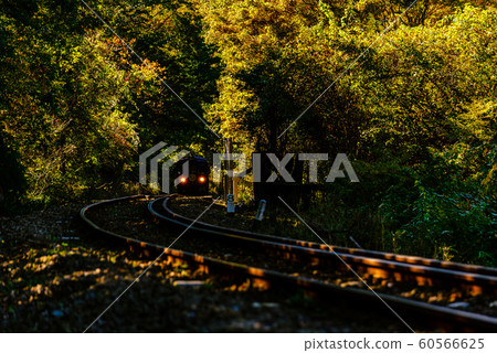 Watasage Canyon Railway 60566625