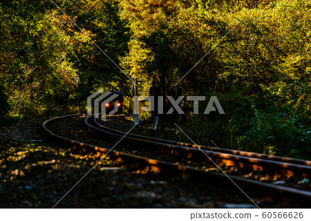 Watasage Canyon Railway 60566626