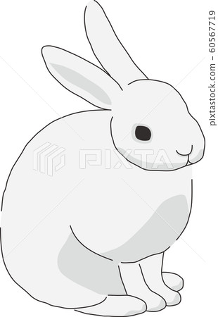 Rabbit Rabbit 60567719