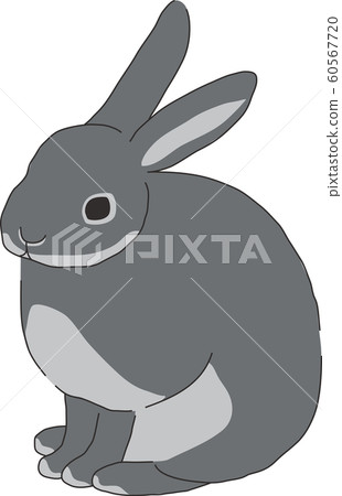 Rabbit Rabbit 60567720
