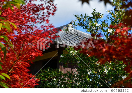 秋天的城市景觀詩Izumikaku 60568332