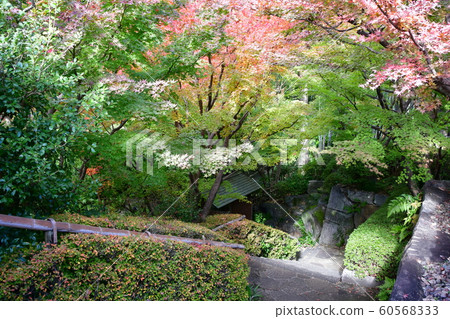 秋天的城市景觀詩Izumikaku 60568333