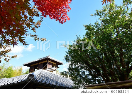 秋天的城市景觀詩Izumikaku 60568334