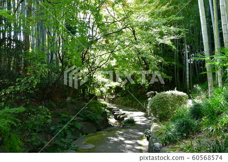 Autumn's Townscape Poetry Izumikaku Autumn's Townscape Poetry Izumikaku 60568574