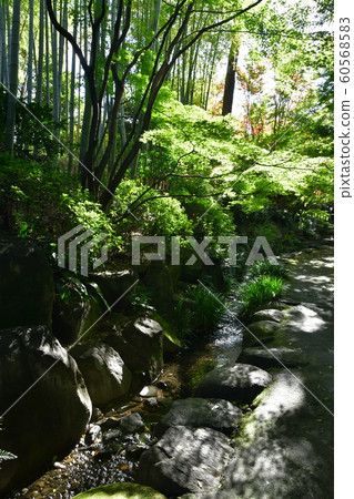 秋天的城市景觀詩Izumikaku 60568583