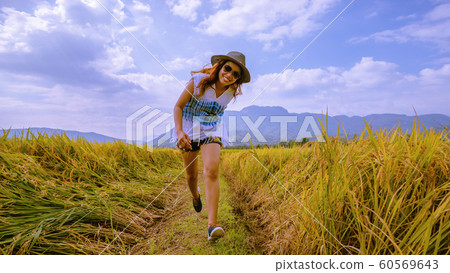 Asian women travel Rice fields Golden yellow On Asian women travel Rice fields Golden yellow On 60569643