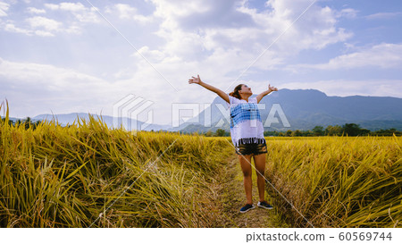 Asian women travel Rice fields Golden yellow On Asian women travel Rice fields Golden yellow On 60569744