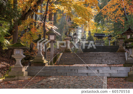 191112神宮法G004 191112神宮法G004 60570558